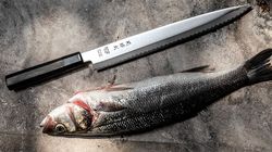 Japanese knife, KK Yanagiba extra long