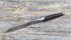 Table culture, sknife steak knife