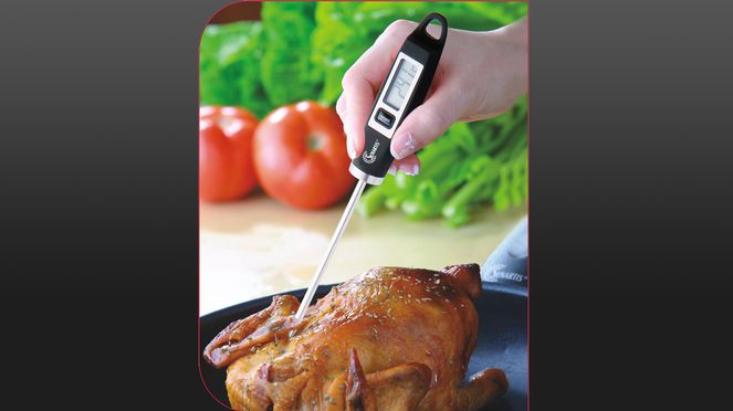 
                    Digital Thermometer for meat