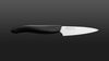 
                    Kyocera ceramic paring knife with white blade and black handle