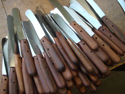 buckels vorbereitet zum reiden.jpg