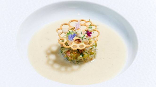 
                    Mateo Hoefligers Vorspeise