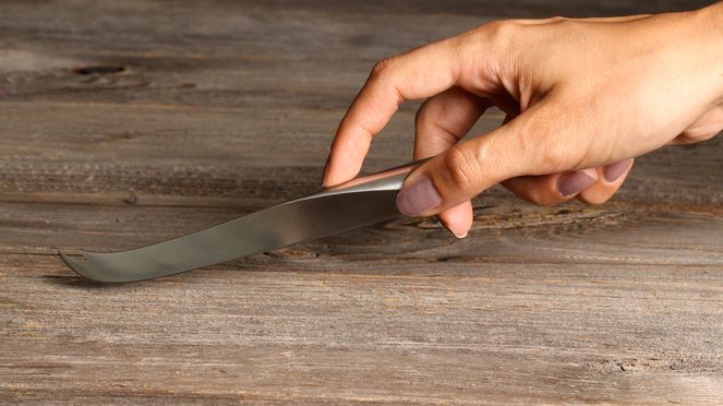 Swiss hot sale cheese knife